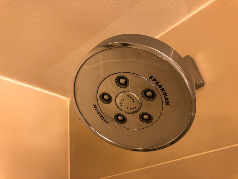 Hilton-New-York-Times-Square-showerhead-800x600