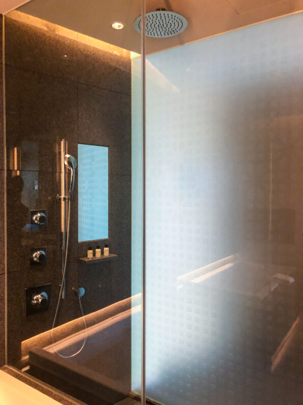 Park-Hyatt-Busan-king-bed-room-shower-595x793